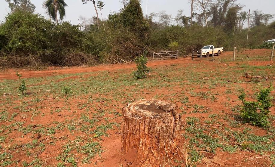 Fiscalização do IAT resultou em mais de R$ 400 mil em multas por desmatamento ilegal em Alto Paraíso