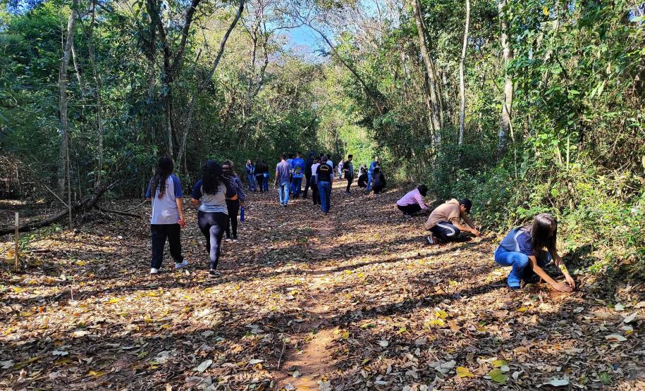 IAT superou em 26% a meta de distribuição de mudas de espécies nativas durante a Semana da Árvore