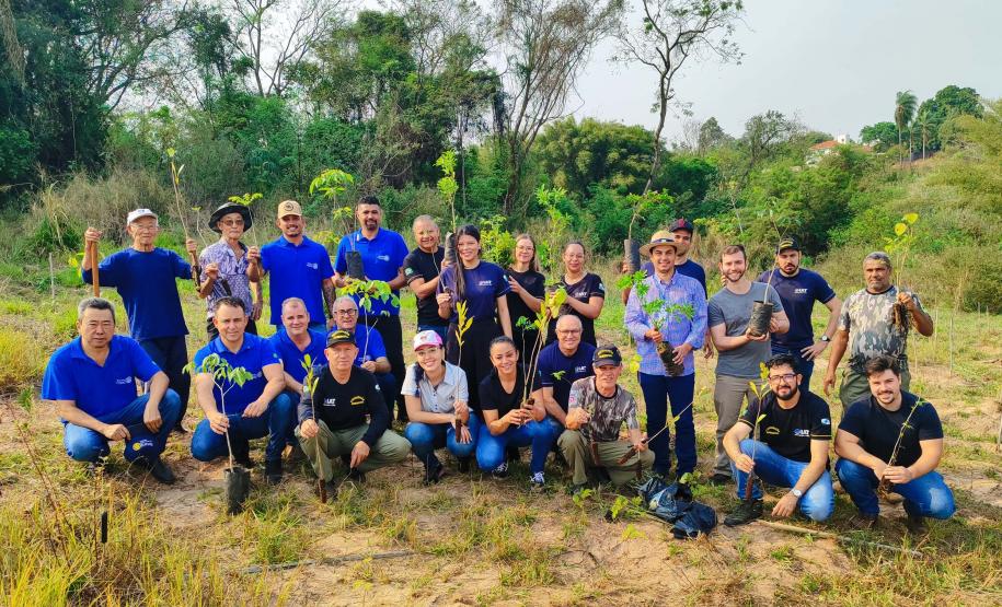 IAT superou em 26% a meta de distribuição de mudas de espécies nativas durante a Semana da Árvore