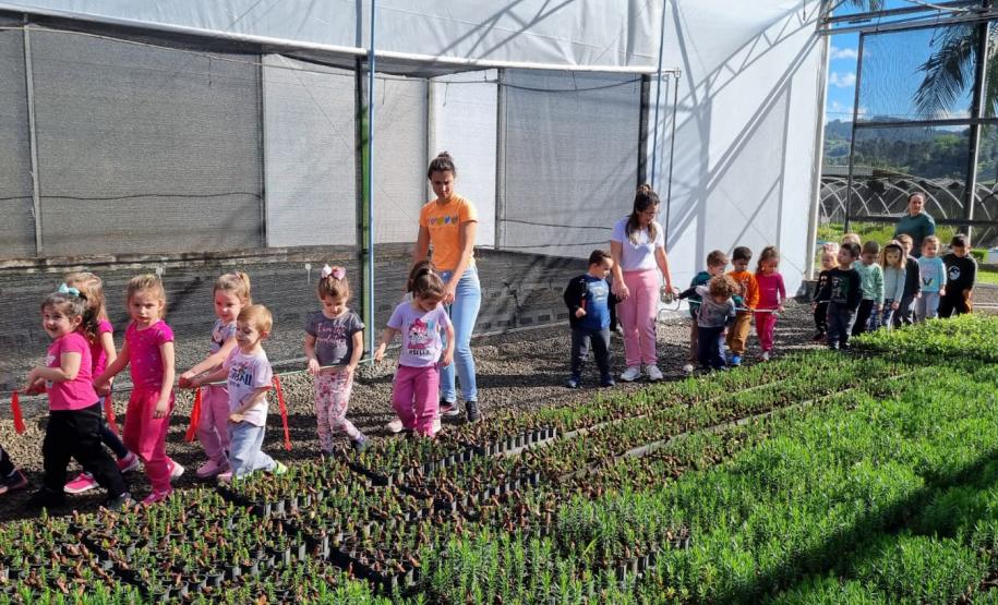 IAT superou em 26% a meta de distribuição de mudas de espécies nativas durante a Semana da Árvore