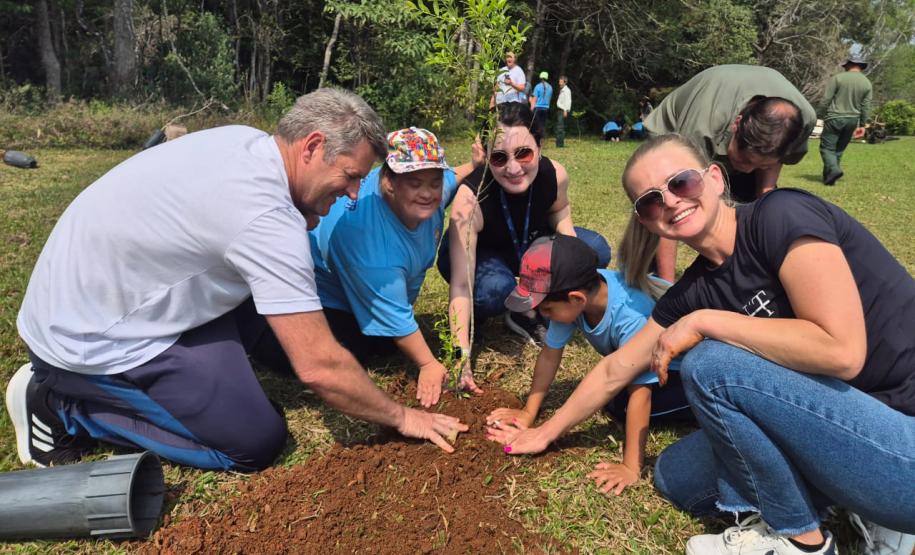 IAT superou em 26% a meta de distribuição de mudas de espécies nativas durante a Semana da Árvore