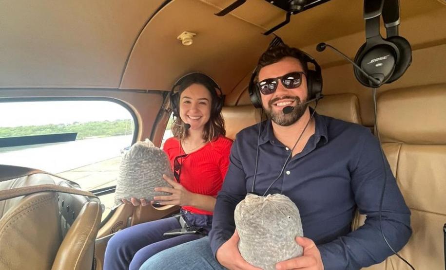 Ação de regeneração ambiental promovida pelo IAT no Litoral contou com a dispersão de 50 mil sementes de Palmeira Jussara