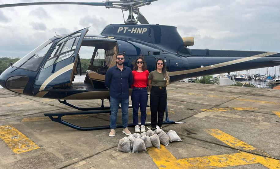 Ação de regeneração ambiental promovida pelo IAT no Litoral contou com a dispersão de 50 mil sementes de Palmeira Jussara