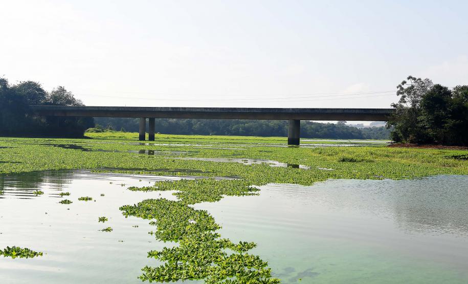 Estiagem: Fórum Paranaense de Bacias Hidrográficas convoca reunião emergencial