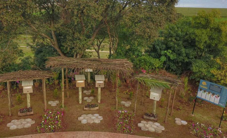 Poliniza Paraná: Sedest promove curso de manejo de abelhas sem ferrão na Ilha do Mel