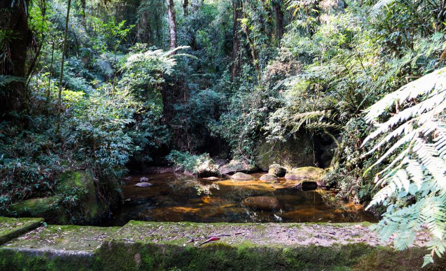 Piraquara, com os Rios Iraí e Iguaçu, recebeu R$ 29,85 milhões em repasse de ICMS Ecológico por Mananciais entre janeiro e agosto de 2024.