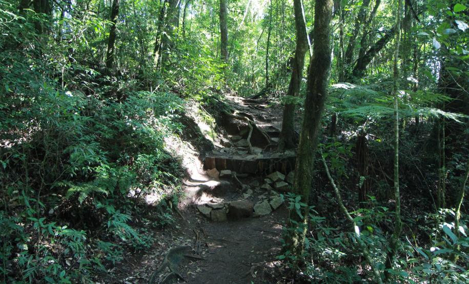 Trilhas do Itupava e do Pão de Loth serão fechadas por 12 horas no fim de semana