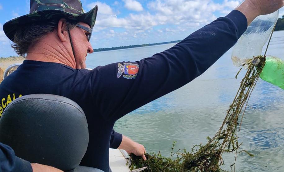 IAT proíbe pesca em quatro Bacias Hidrográficas do Paraná para preservar fauna