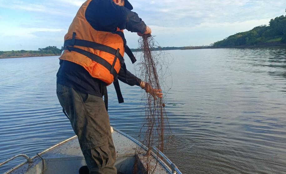 IAT proíbe pesca em quatro Bacias Hidrográficas do Paraná para preservar fauna