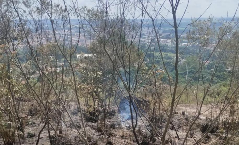 Para prevenir incêndios, Paraná suspende por 90 dias queima controlada no campo