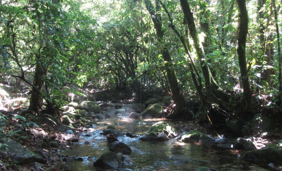 Estado repassa R$ 200 milhões em ICMS Ecológico por Biodiversidade aos municípios