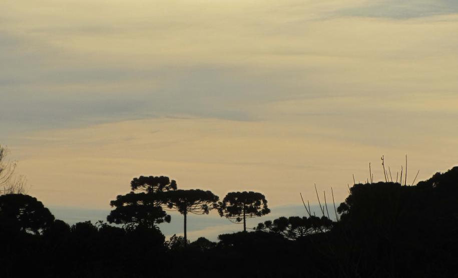 Estado repassa R$ 200 milhões em ICMS Ecológico por Biodiversidade aos municípios