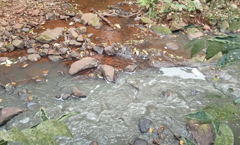 Suinocultor é multado em R$ 100 mil por infração ambiental em córrego de Toledo