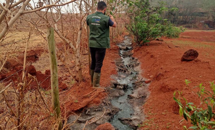 Suinocultor é multado em R$ 100 mil por infração ambiental em córrego de Toledo