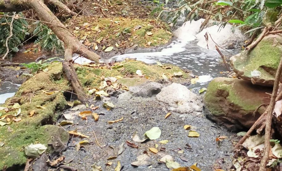 Suinocultor é multado em R$ 100 mil por infração ambiental em córrego de Toledo