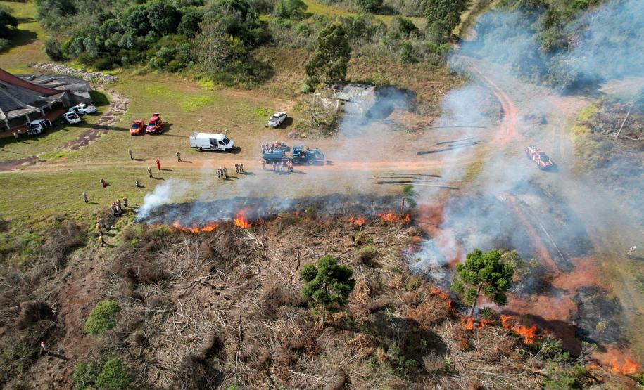 Para prevenir incêndios, Paraná suspende por 90 dias queima controlada no campo