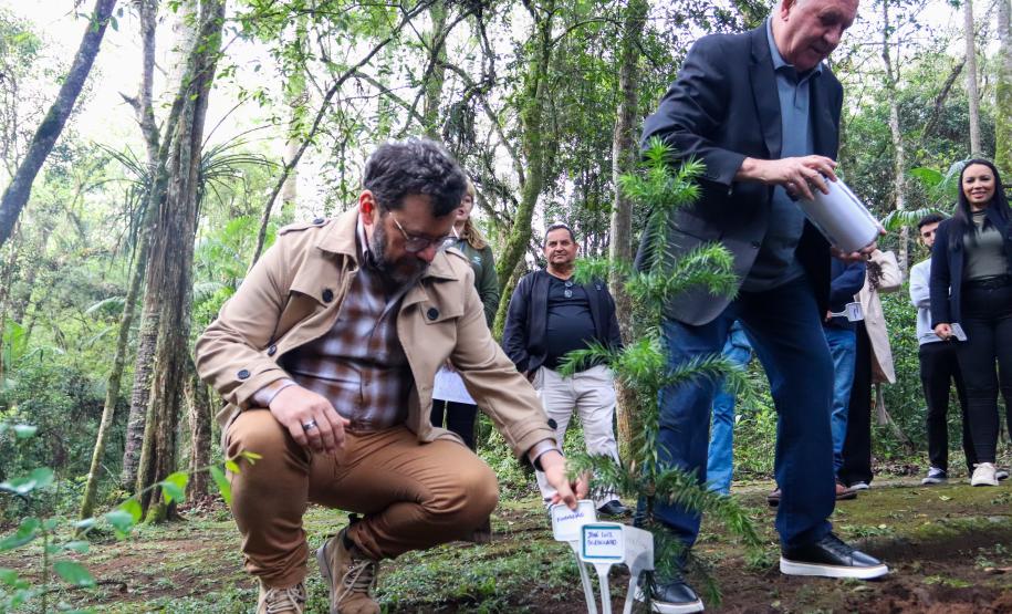 Servidores do escritório regional do IAT de Curitiba durante plantio de mudas no viveiro de São José dos Pinhais