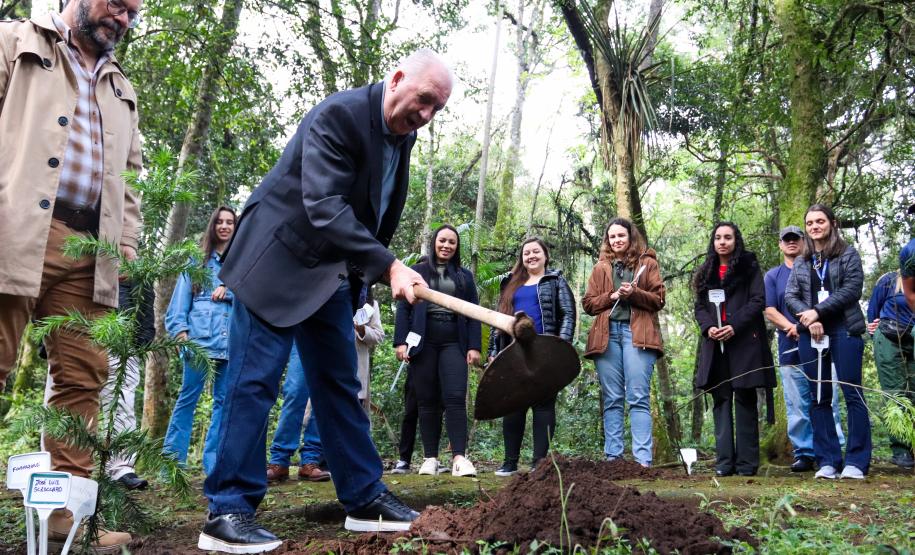 Servidores do escritório regional do IAT de Curitiba durante plantio de mudas no viveiro de São José dos Pinhais