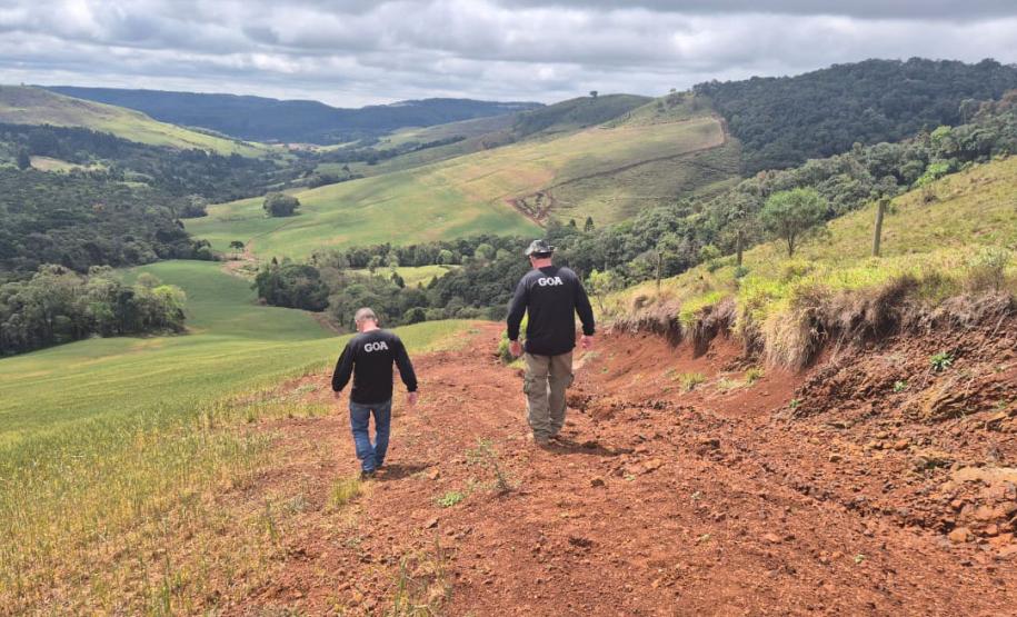 Edição 2024 da Operação Mata Atlântica em Pé identificou 1.433,33 hectares de área ilegalmente desmatada no Paraná