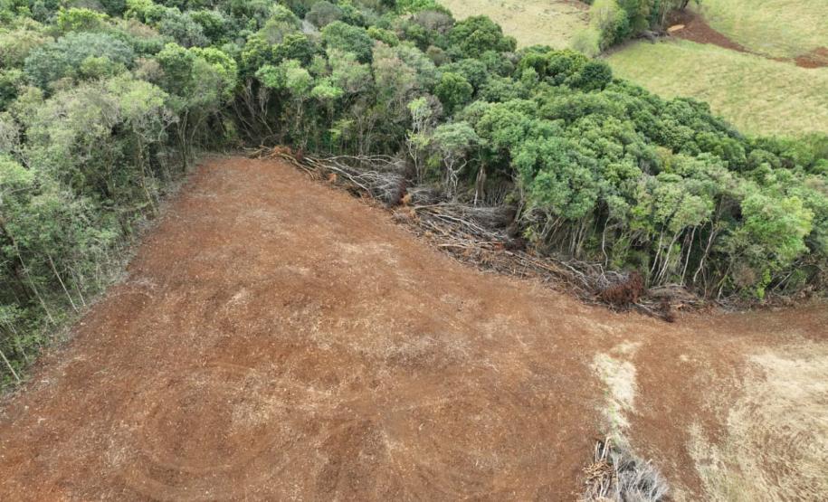 Edição 2024 da Operação Mata Atlântica em Pé identificou 1.433,33 hectares de área ilegalmente desmatada no Paraná