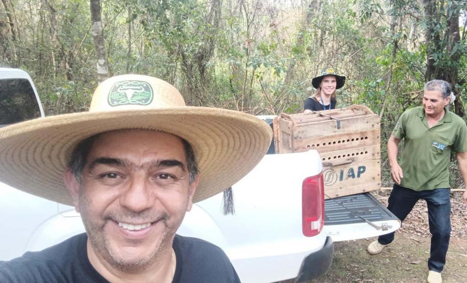 Instituto Água e Terra devolve capivara e gato-mourisco à natureza