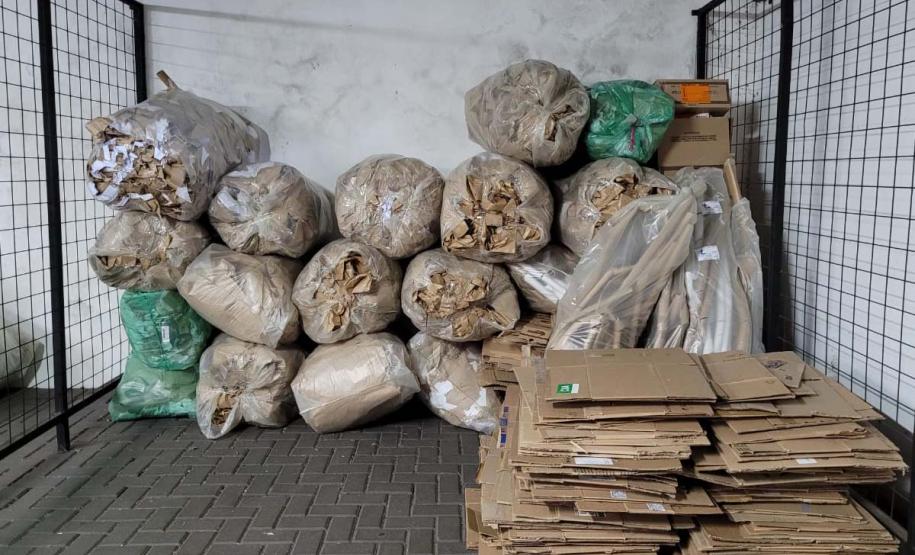 Com foco em cadeias produtivas sustentáveis, Estado cria fórum de economia circular