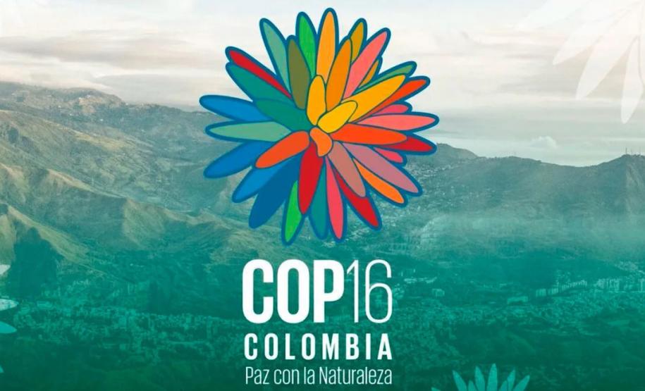 Com programas de preservação da biodiversidade, Governo do Paraná será protagonista na COP16, em Cali, na Colômbia