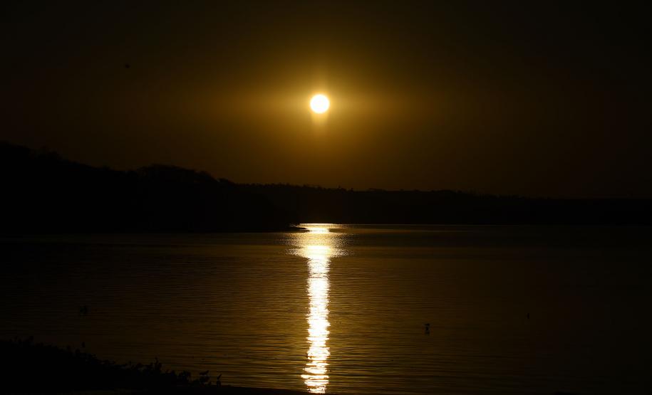 Com programas de preservação da biodiversidade, Governo do Paraná será protagonista na COP16, em Cali, na Colômbia