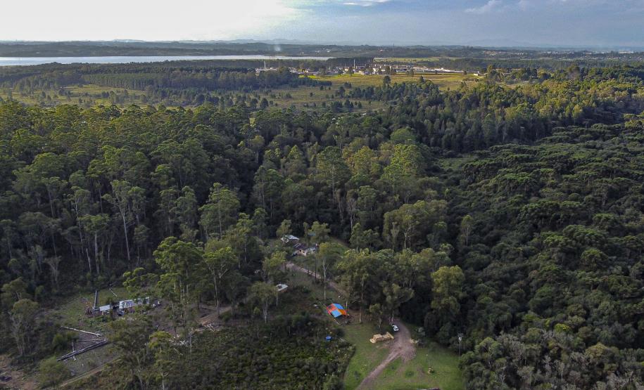 Floresta Estadual Metropolitana: ampliação do uso sustentável da Unidade de Conservação de Piraquara.