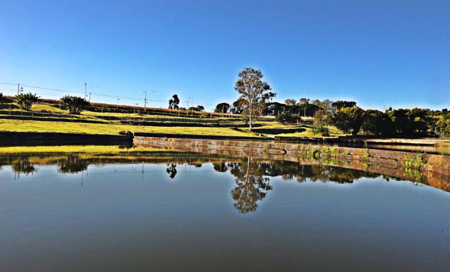 O Jardim Botânico de Londrina foi incorporado pelo projeto Parques Paraná.