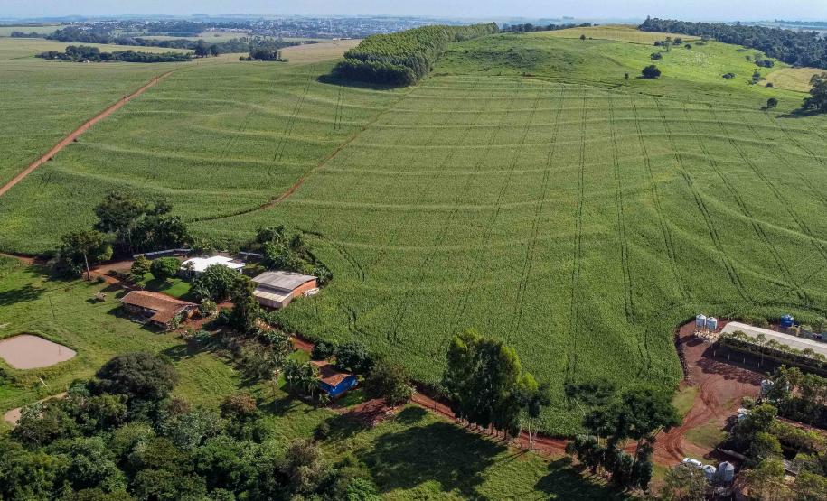 IAT reforça importância da atualização regular do Cadastro Ambiental Rural