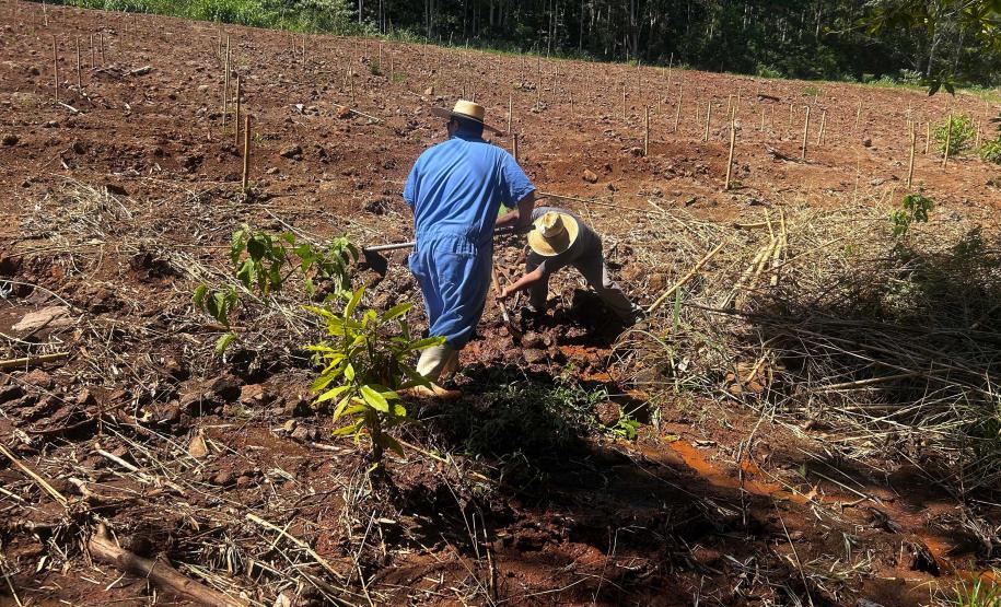 Cartilha Outorguinha ensina crianças de 8 a 10 a proteger as águas do Paraná