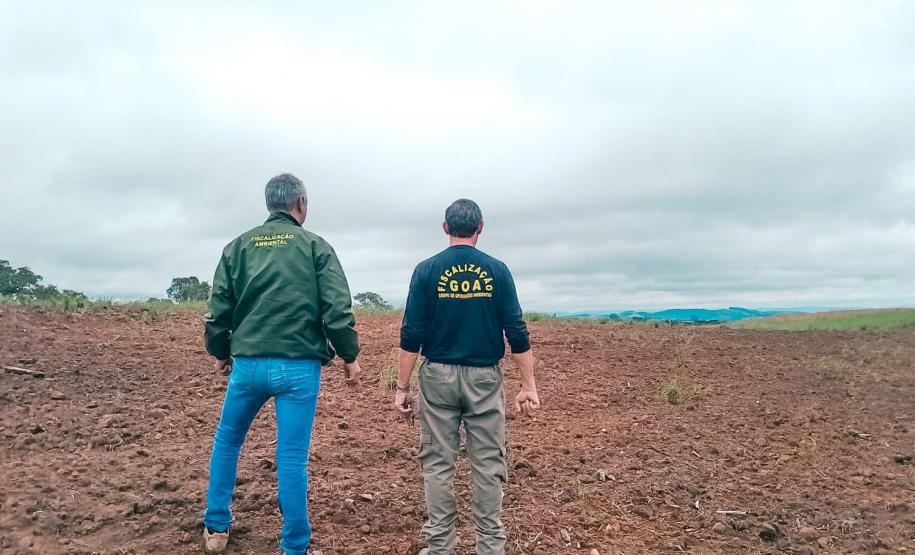 Edição 2024 da Operação Mata Atlântica em Pé identificou 1.433,33 hectares de área ilegalmente desmatada no Paraná