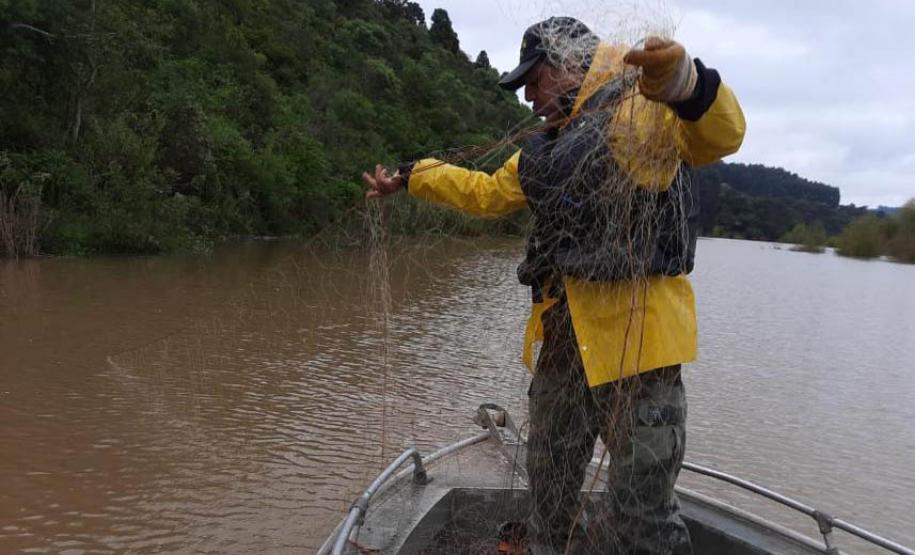 Piracema: proibição de pesca predatória na Bacia do Rio Paraná começa na sexta-feira