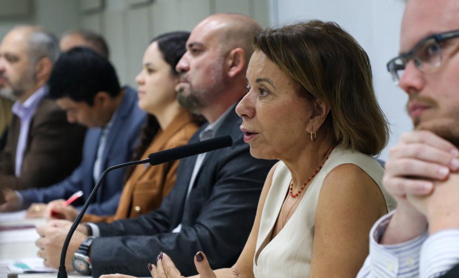 Estado avança na elaboração do plano de descarbonização da economia paranaense