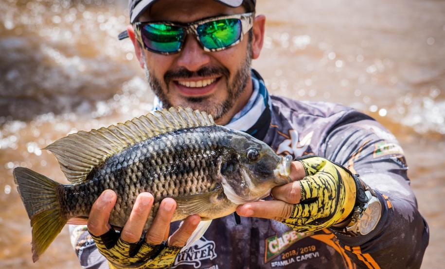 Novo ciclo do projeto Rio Vivo vai soltar 2,6 milhões de peixes nativos nas bacias do Paraná a partir deste mês