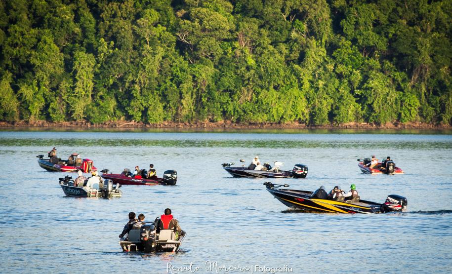 Novo ciclo do projeto Rio Vivo vai soltar 2,6 milhões de peixes nativos nas bacias do Paraná a partir deste mês
