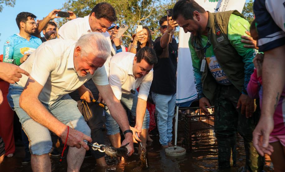 Novo ciclo do projeto Rio Vivo vai soltar 2,6 milhões de peixes nativos nas bacias do Paraná a partir deste mês