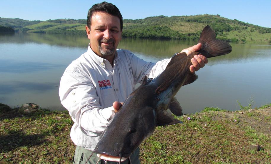 Novo ciclo do projeto Rio Vivo vai soltar 2,6 milhões de peixes nativos nas bacias do Paraná a partir deste mês