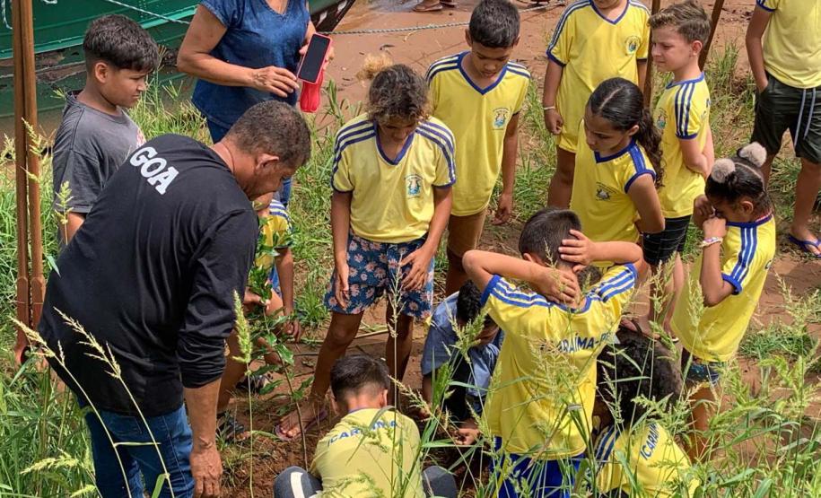 Ações elaboradas pelo IAT no Estado recuperaram mais de 6 hectares de mata ciliar em Áreas de Proteção Ambiental (APP)