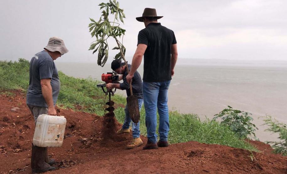Ações elaboradas pelo IAT no Estado recuperaram mais de 6 hectares de mata ciliar em Áreas de Proteção Ambiental (APP)