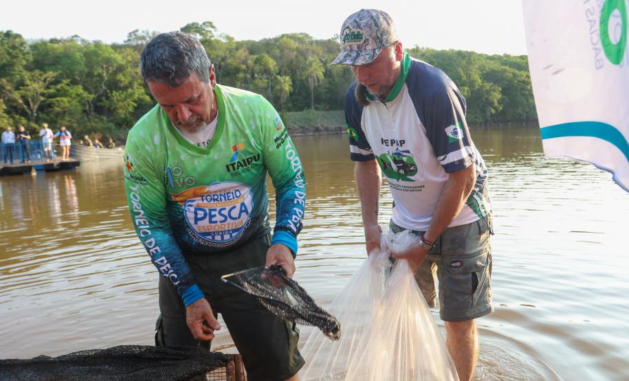 Novo ciclo do projeto Rio Vivo vai soltar 2,6 milhões de peixes nativos nas bacias do Paraná a partir deste mês