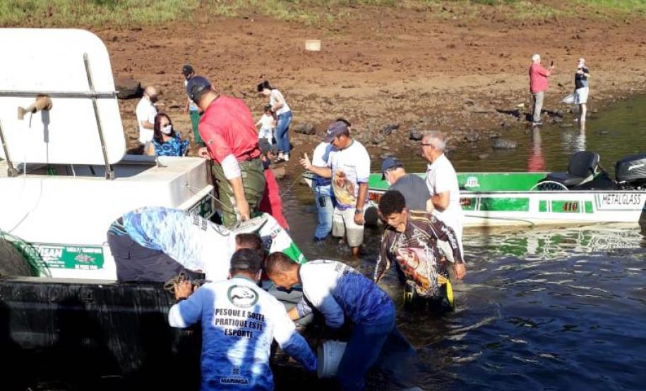 Novo ciclo do projeto Rio Vivo vai soltar 2,6 milhões de peixes nativos nas bacias do Paraná a partir deste mês