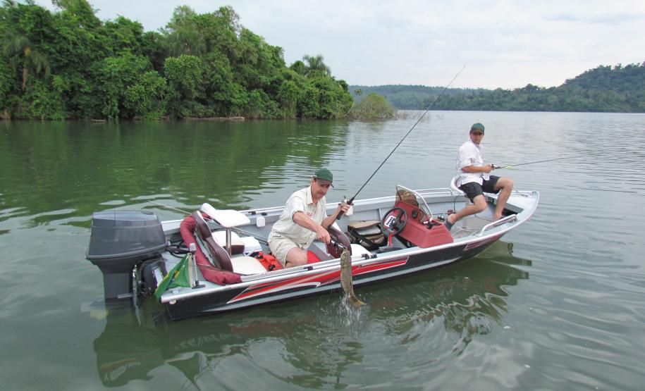 Novo ciclo do projeto Rio Vivo vai soltar 2,6 milhões de peixes nativos nas bacias do Paraná a partir deste mês