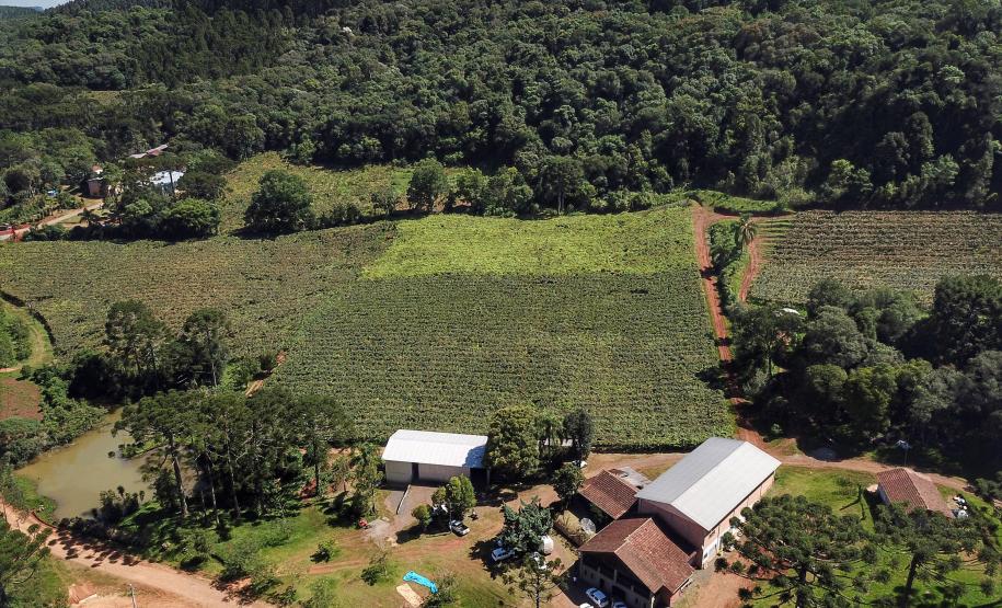 No Noroeste do Paraná, IAT organiza primeiro mutirão para regularização do CAR