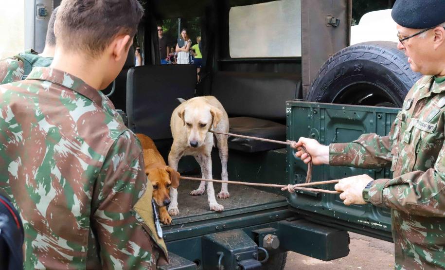 Na nova temporada do CastraPet Paraná, Guaíra recebeu 196 castrações nesta sexta-feira (1º)