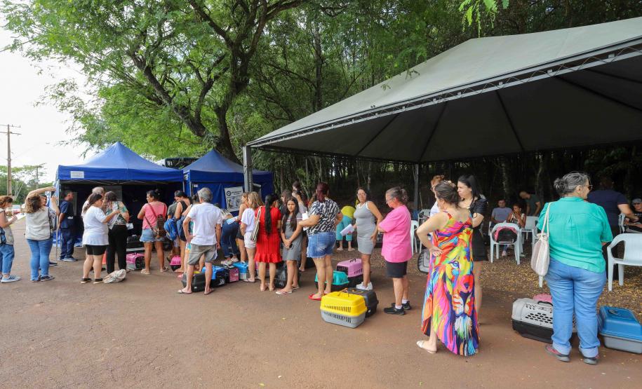 Na nova temporada do CastraPet Paraná, Guaíra recebeu 196 castrações nesta sexta-feira (1º)