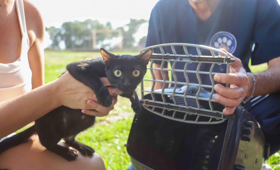 Na nova temporada do CastraPet Paraná, Guaíra recebeu 196 castrações nesta sexta-feira (1º)