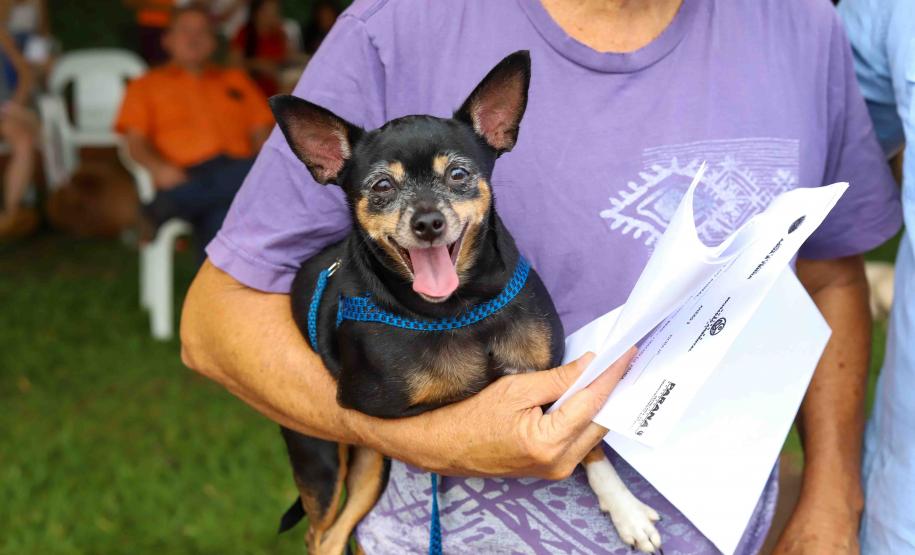 Na nova temporada do CastraPet Paraná, Guaíra recebeu 196 castrações nesta sexta-feira (1º)