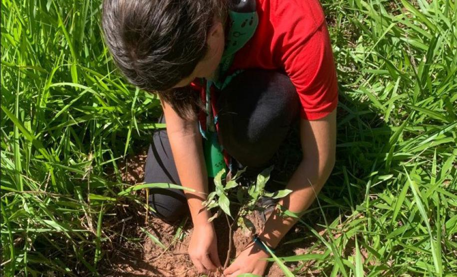 Ações ambientais para comemorar o Dia do Rio preveem a restauração de quatro hectares de mata ciliar em diferentes pontos do Paraná.